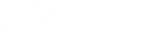 Excellence Maids Horizontal logo