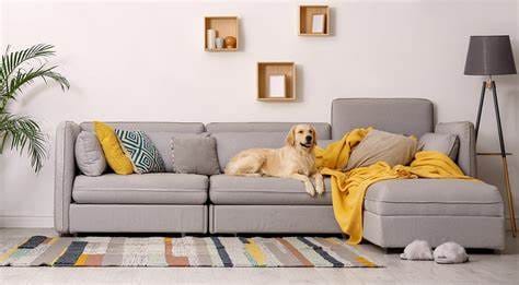 Removing Pet Hair from Furniture: The Ultimate Fur-Free Guide