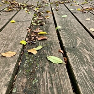 Dirty backyard deck before summer cleaning