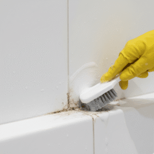 Deep cleaning bathroom grout lines